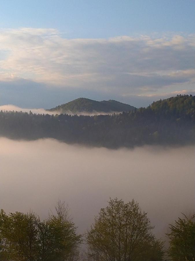 Lesny Dworek 1 Wolkowyja Exterior foto